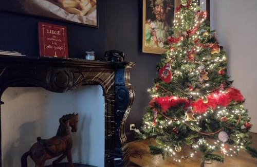 Feronstree et Hors-Chateau Appartement | GITADIN - Deluxe Suite Rousseau - Historical center