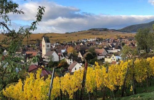 Mittelwihr Appartement | Gite Au Nid de Cigognes