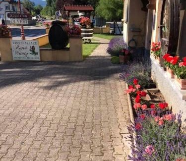 Mittelwihr Appartement | Gite Au Nid de Cigognes