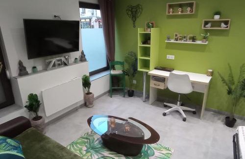 Raon-l'Etape Appartement | Gite Azalée