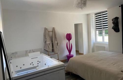 Lailly-en-Val Appartement | Gite balnéo