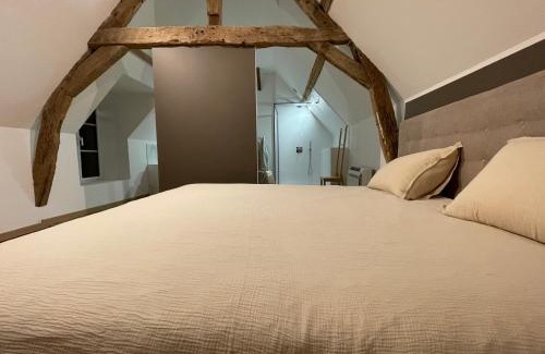 Lailly-en-Val Appartement | Gite balnéo