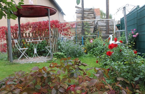 Hegeney Cottage | Gîte Catherine Maison Alsacienne jusqu'à 6 personnes classé 3 épis