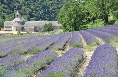 Saint-Didier Maison | Gîte actuellement indisponible