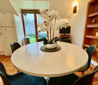 Vernou-sur-Brenne Appartement | GITE DANINOU; meublé 3 chambres avec terrasse (1er étage du château) , salon et cuisine ouverte