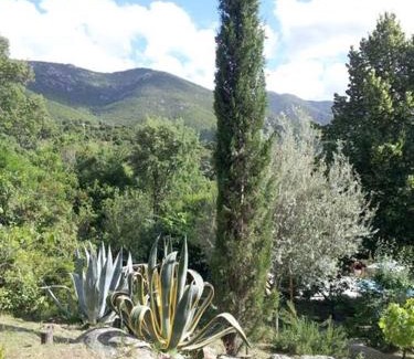 Peri Maison | Gite dans le maquis avec piscine privée