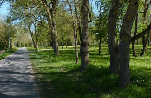 Chouze-sur-Loire Maison | Gite de l'ilot
