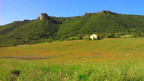 Nant Appartement | gite des deux rivières