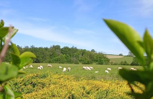 Ameugny Maison | gite des palmiers