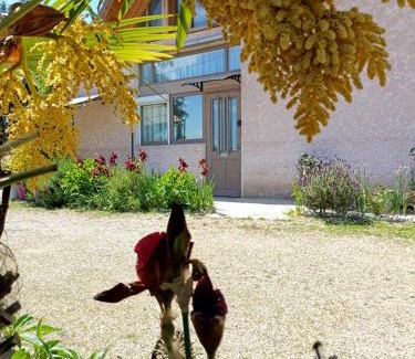 Ameugny Maison | gite des palmiers
