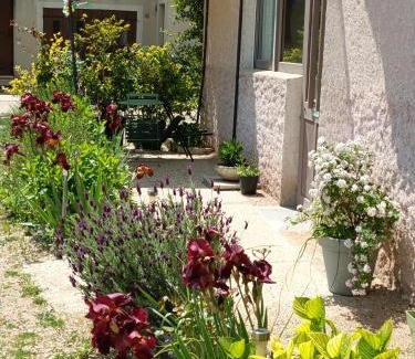 Ameugny Maison | gite des palmiers
