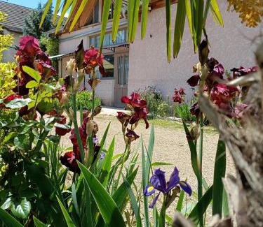 Ameugny Maison | gite des palmiers