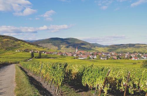 Ammerschwihr Maison | Gite du Vignoble