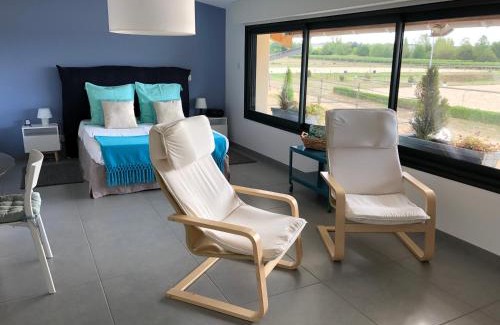 Bouloc Appartement | Gite-Grand studio contemporain proche Toulouse dans domaine Equestre