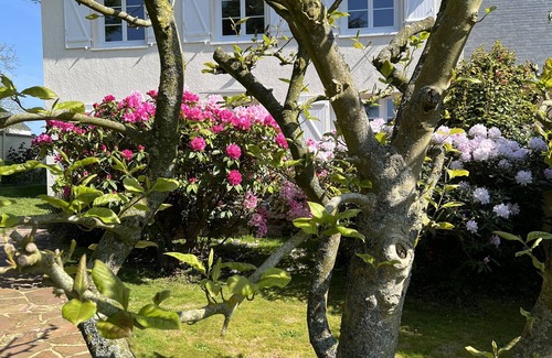 Senneville-sur-Fecamp Maison | Maison de vacances.