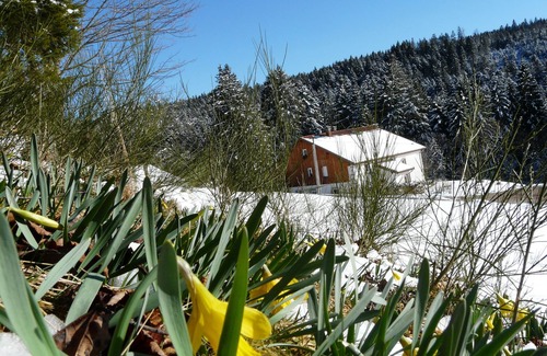 Liezey Appartement | gite dans ferme vosgienne entierement renovée.