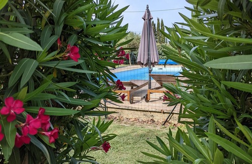 Arles Cottage | Les gîtes du Vieux Mas - Gîte 1 - côté piscine
