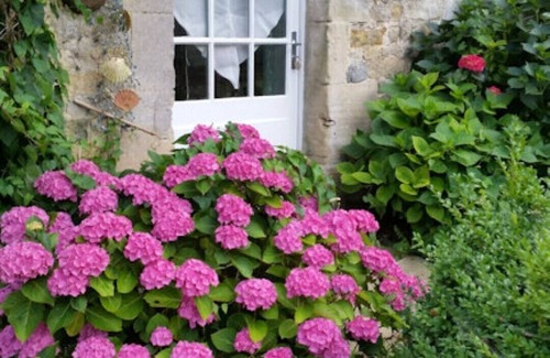 Nonant Maison | Gîte "À l'Ombre du Chêne"