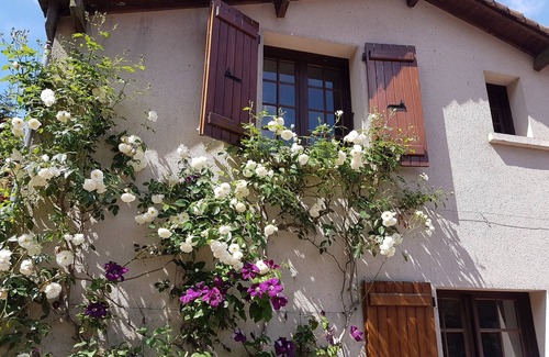 Les Chatelliers-Chateaumur Cottage | Gîte L'eau vive - Le moulin de Charin - Puy du Fou