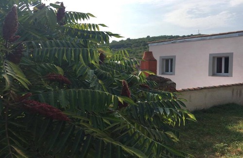 Champeix Maison | Gîte *** La CHAMPILLAUMIERE: l'esprit cocon