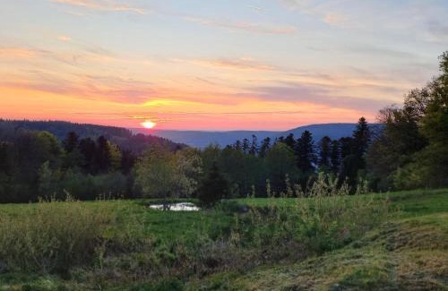 Dommartin-les-Remiremont Maison | GITE LA HOUBETTE VUE MAGNIFIQUE - Nature