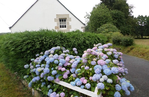 Saint-Tugdual Maison | GITE LA MAISON BLEUE