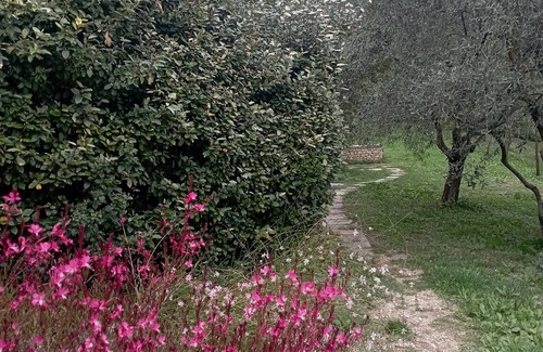 Saint-Saturnin-les-Apt Maison | Gite le petit colibri provençal cottage by the pool
