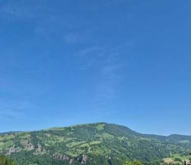 Thiezac Appartement | Gite le petit Ely