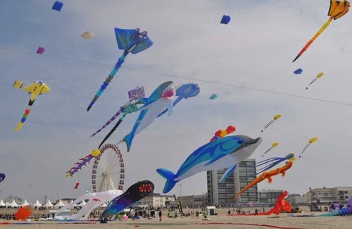 Verton Chalet De Ski | GITE LES CHALETS DU FLIERS BETWEEN SEA AND COUNTRYSIDE