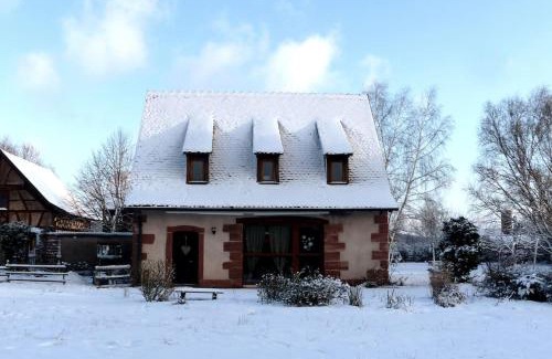 Neuwiller-les-Saverne Maison | Gite les Cigognes