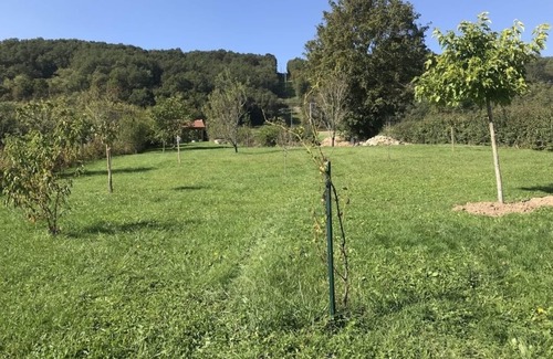 Saint-Ythaire Maison | Gite les Mésanges