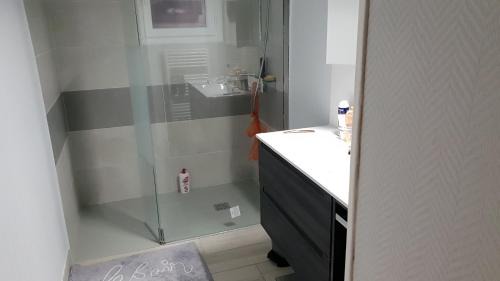 La Suze-sur-Sarthe Appartement | GITE MAISON prox le mans circuit et zoo la fleche a 18kms