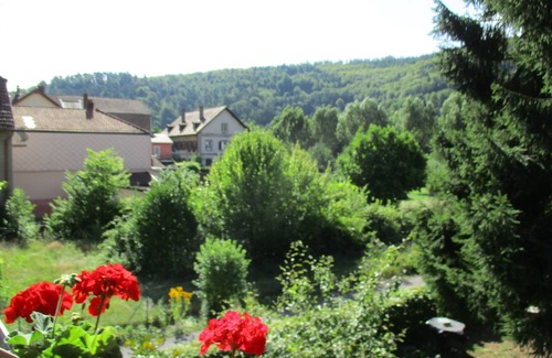 Lutzelbourg Appartement | Gîte du bois fleuri .
