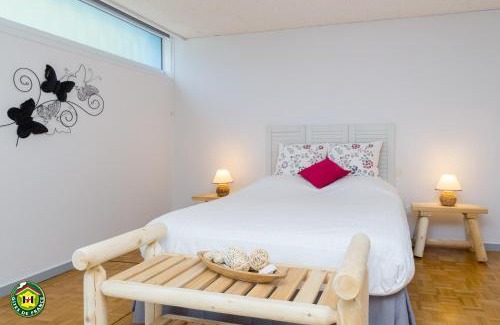 Centre Ville Appartement | GITE PASQUIER