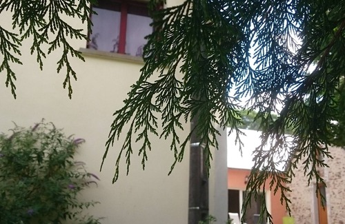 Mont-Saint-Jean Maison | GITE AVEC PISCINE INTERIEURE, BABYFOOT ET SALLE DE REMISE EN FORME