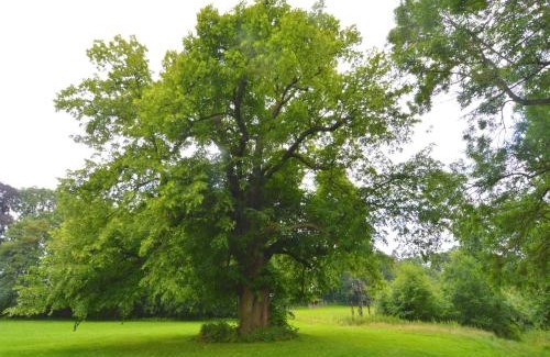 Haut-Bois Maison | Gite with swimming pool situated in wonderful castle grounds in Gesves
