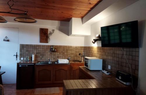 Saint-Vincent-les-Forts Appartement | Gites Chalet Grand Cerf Montclar-Ubaye