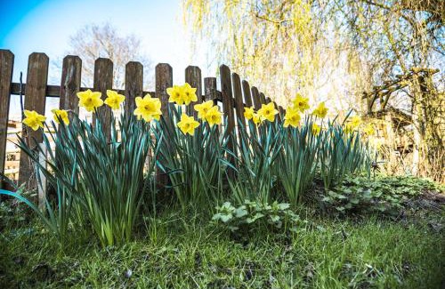 Jumencourt Maison | GITES CURCUMA et COMPAGNIE
