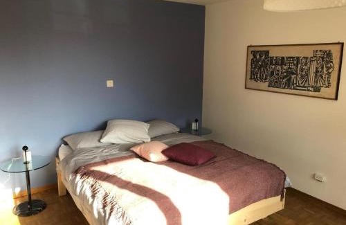 Altdorf Appartement | Gitschenblick