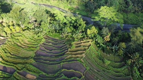 Klungkung Maison | GJ Guest House Sidemen
