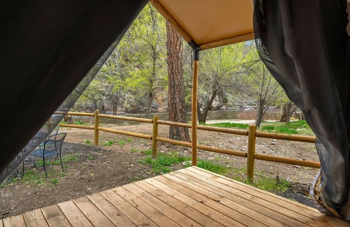 Poudre Park Maison | Glamp 13- Blue Columbine