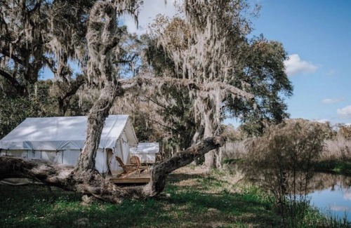 Floral City Location De VR | Glamp on a Florida Orange Grove "Butterfly" Tent