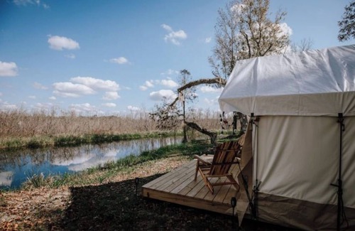 Floral City Location De VR | Glamp on a Florida Orange Grove "Butterfly" Tent