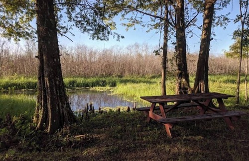 Floral City Location De VR | Glamp on a Florida Orange Grove "Butterfly" Tent