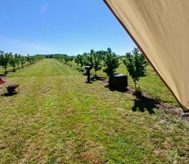 Hannut Autre | Glamping au verger de la Marsale