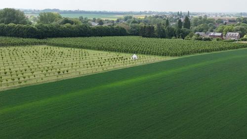Hannut Autre | Glamping au verger de la Marsale