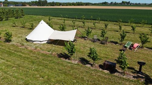 Hannut Autre | Glamping au verger de la Marsale