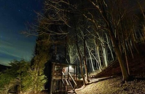 Lynx Cabine | Glamping Cabin | Huge Window | Nature Lovers Dream