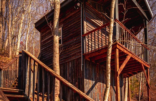 Lynx Cabine | Glamping Cabin | Huge Window | Tree House Feel