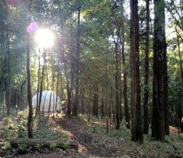 Valle de Bravo Station Balnéaire | Glamping Don Delfis